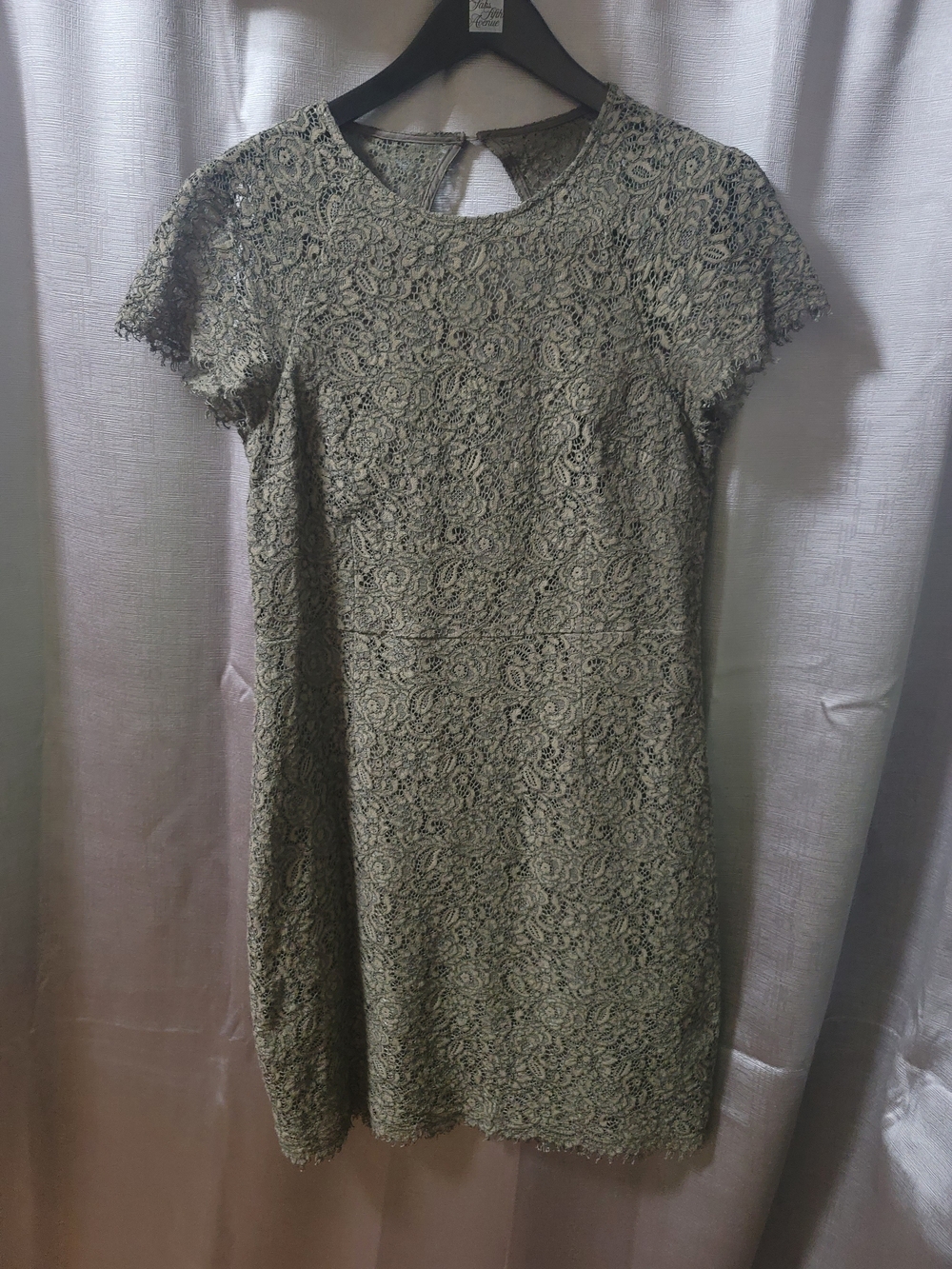Banana Republic Olive Green Lace Short-Sleeve Mini Dress